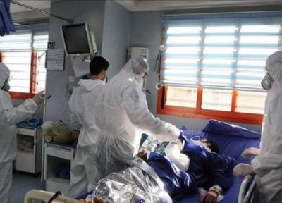بستری 83 بیمار بدحال مبتلا به کرونا در بیمارستان های گیلان