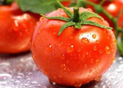 شوکه کننده ترین خواص گوجه فرنگی چیست؟